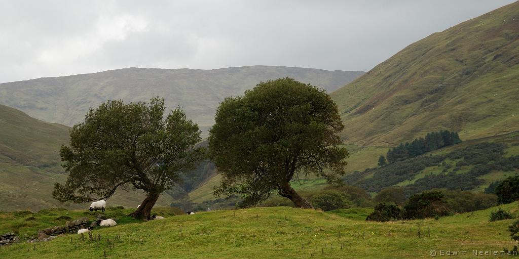 ENE-20110922-0963.jpg - Knocknafaugny, Connemara